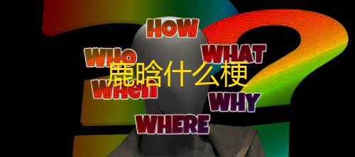 寂静直装v3.0正式版鹿晗什么梗